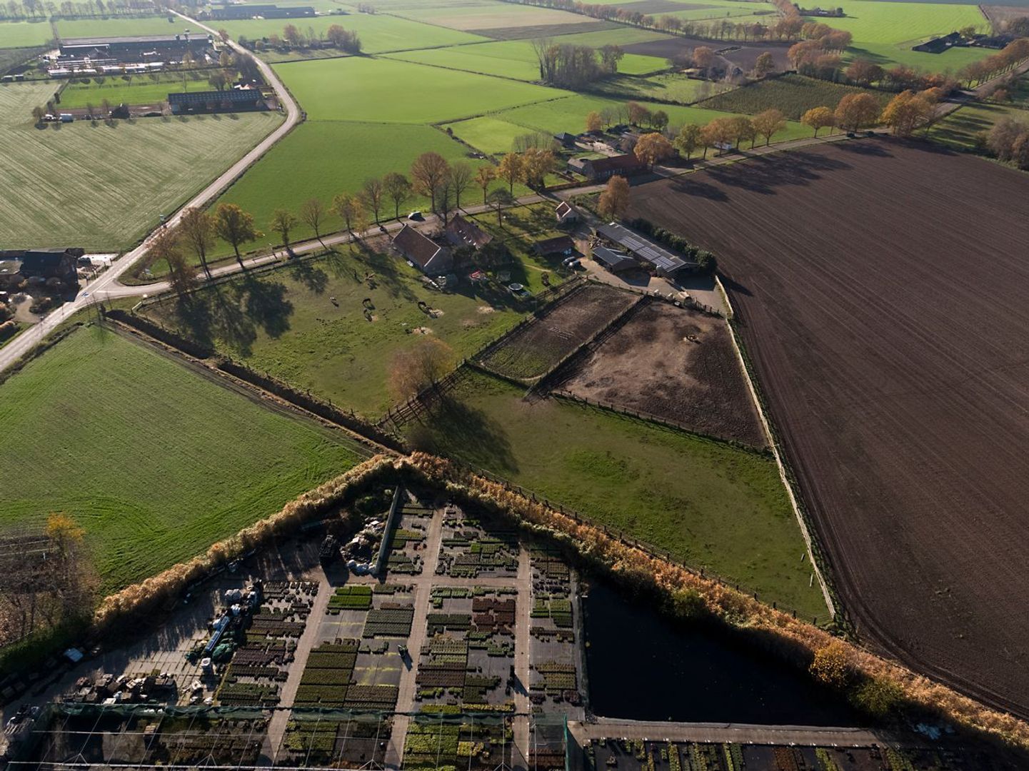 Baldersstraat 1 image 1