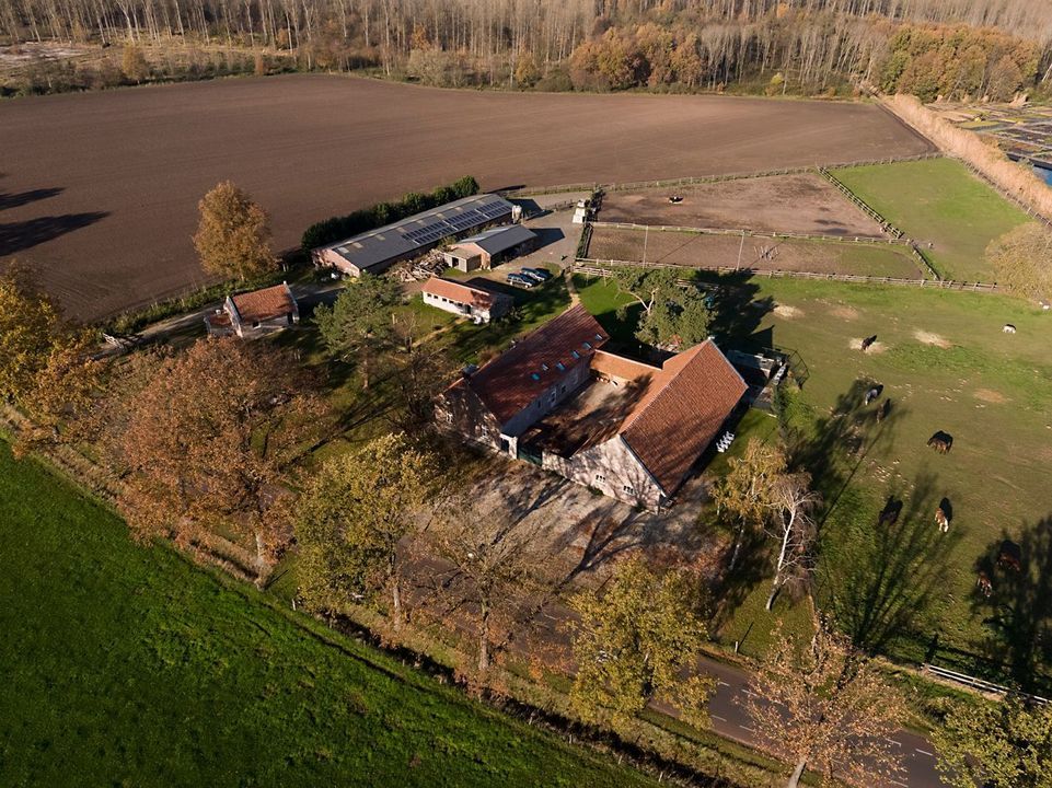 Baldersstraat 1 image thumbs 1