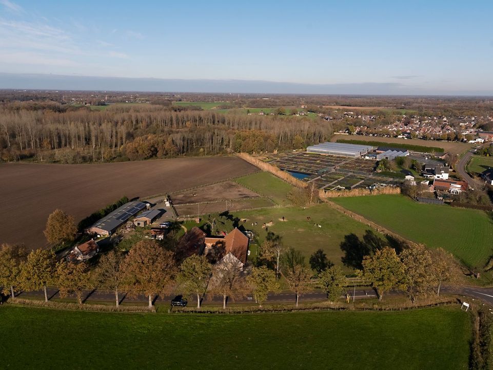 Baldersstraat 1 image thumbs 1