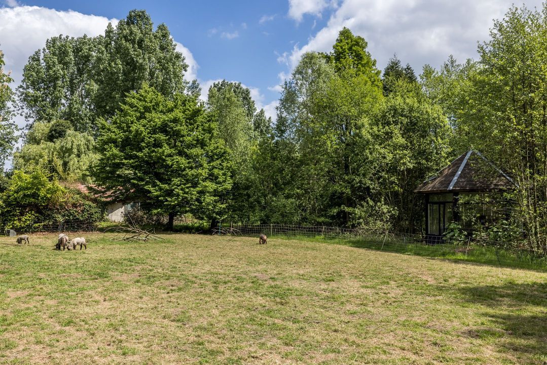 Ruscher 1 image thumbs 1