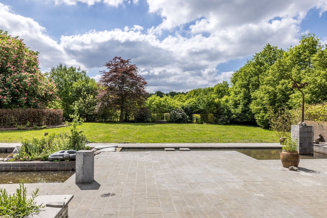 Ruscher 1 image thumbs 1