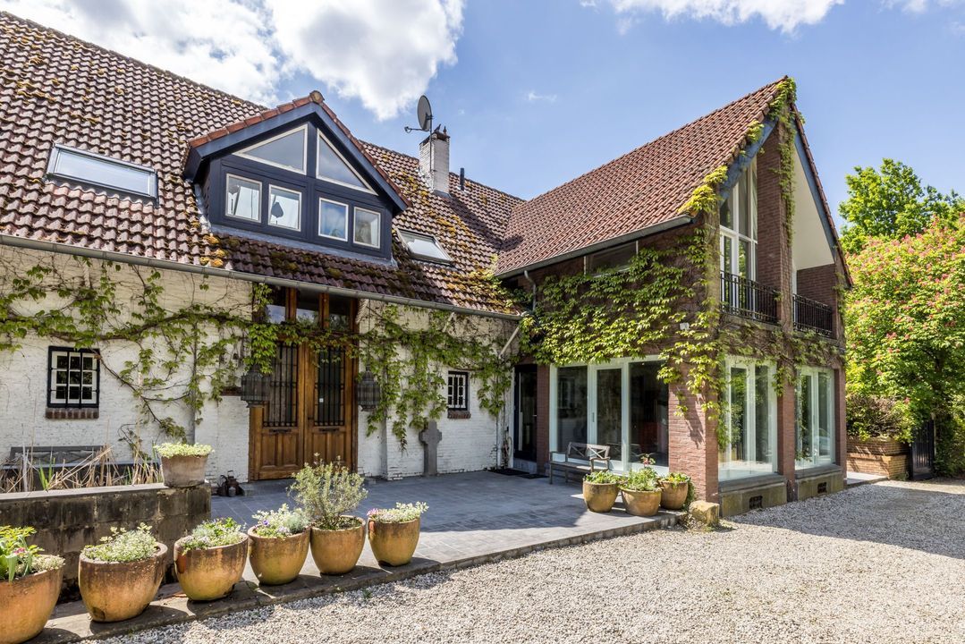 Ruscher 1 image thumbs 1