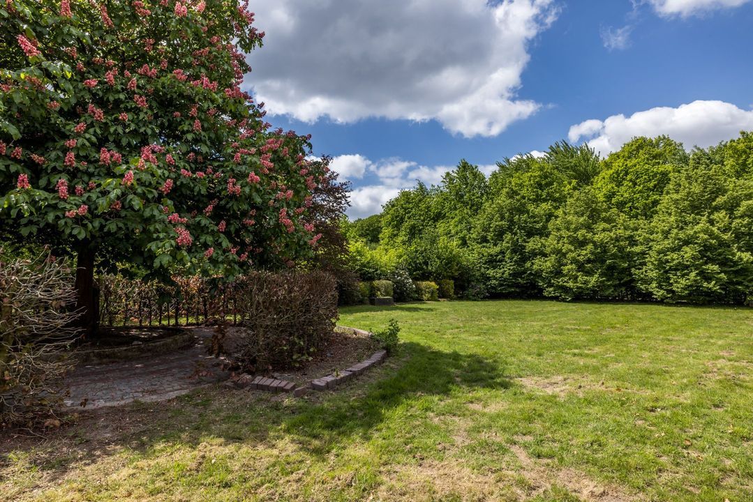 Ruscher 1 image thumbs 1