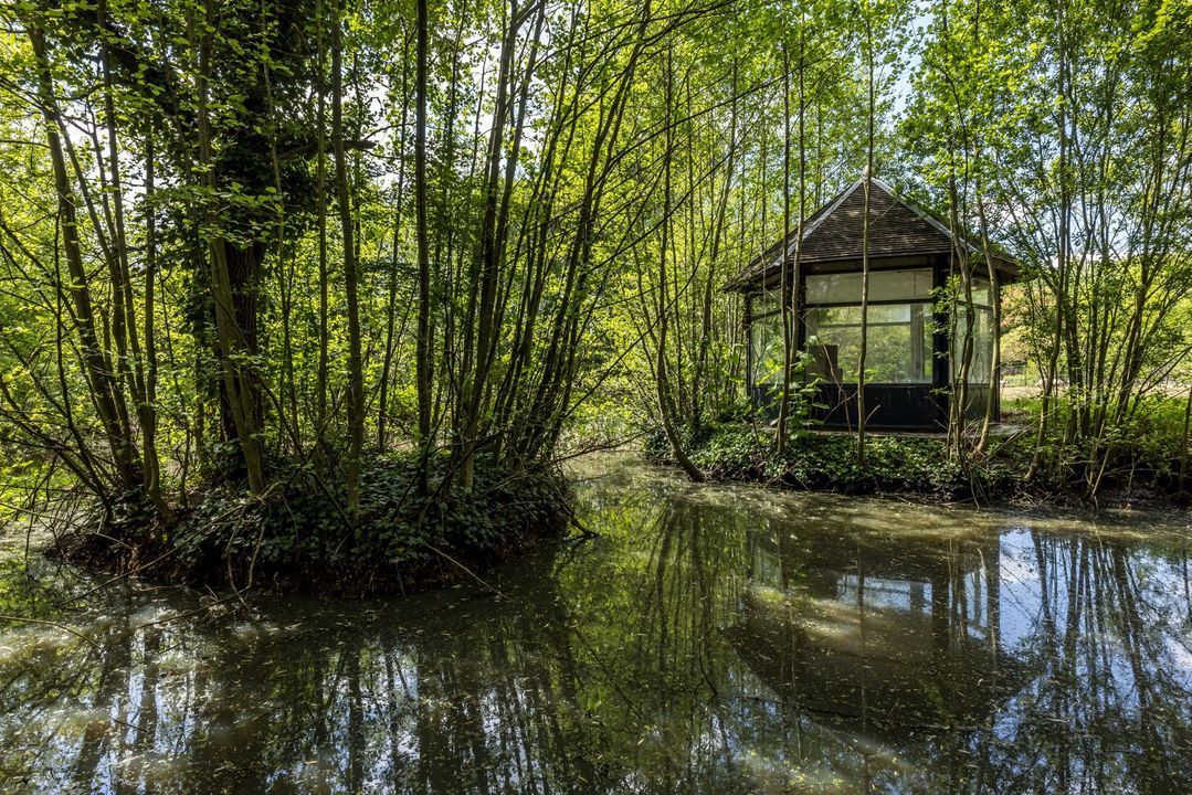 Ruscher 1 image thumbs 1