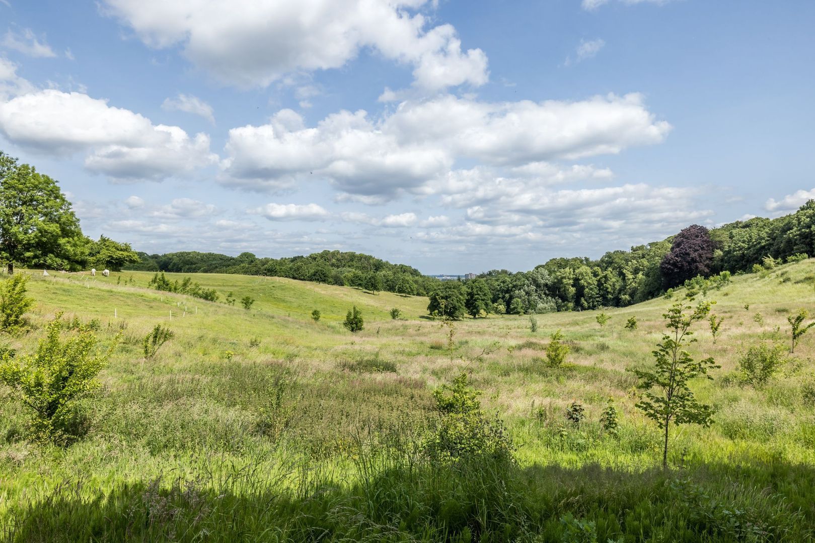 Imstenrade 2 image 1