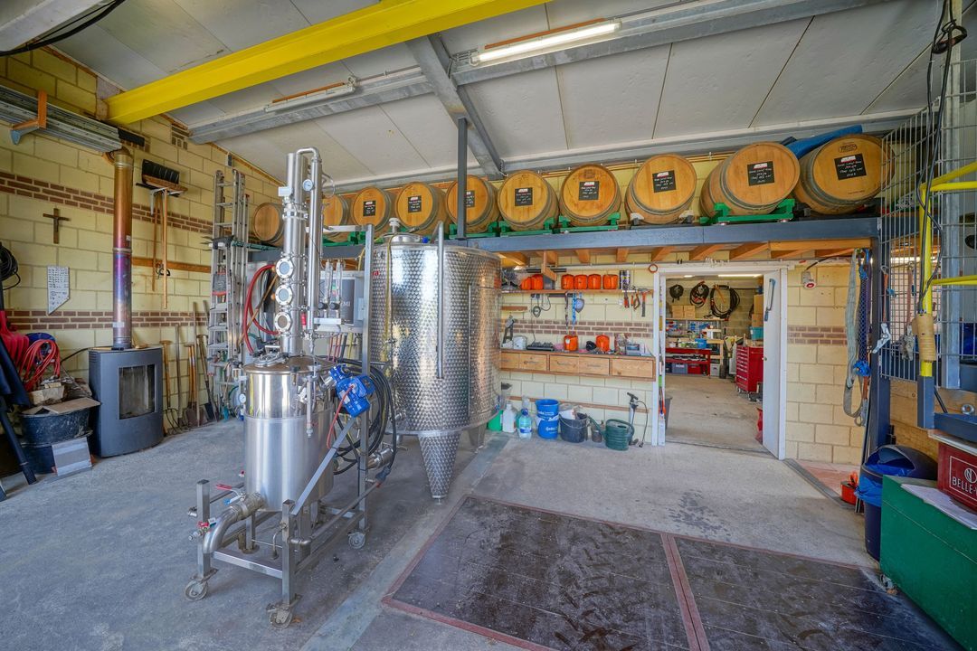 Raar 49 b image thumbs 1