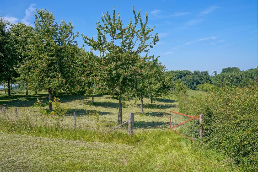 Raar 49 b image thumbs 1