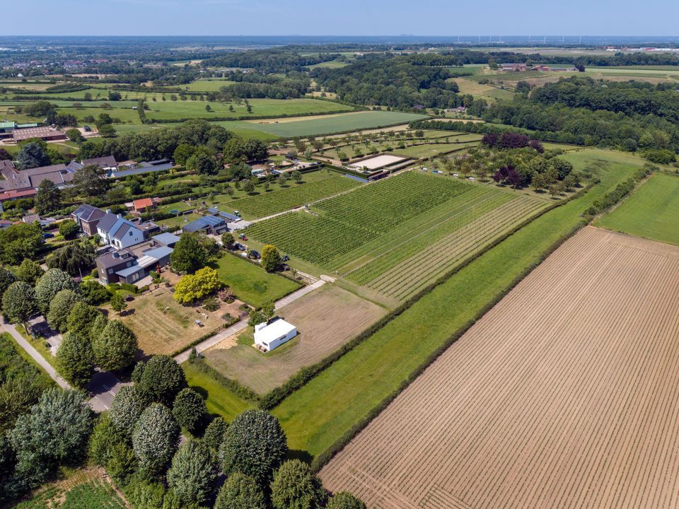 Raar 49 b image thumbs 1