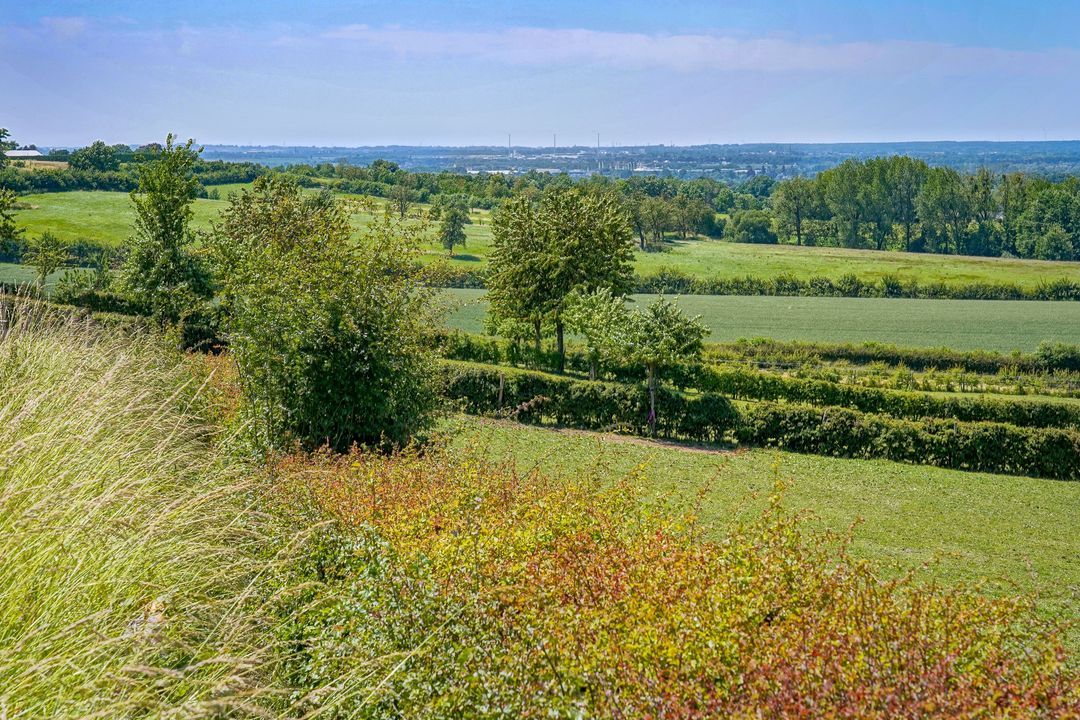 Raar 49 b image thumbs 1