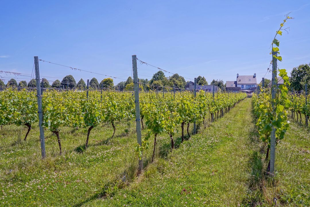 Raar 49 b image thumbs 1