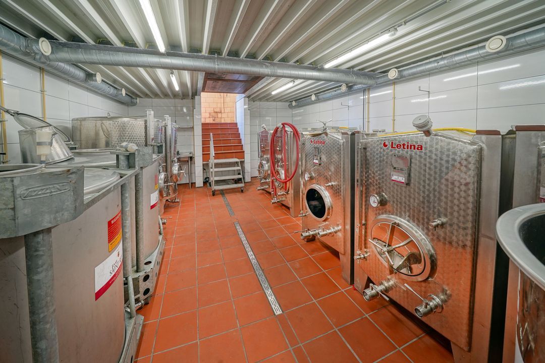 Raar 49 b image thumbs 1