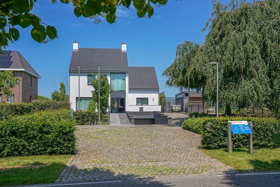 Raar 49 b image thumbs 1