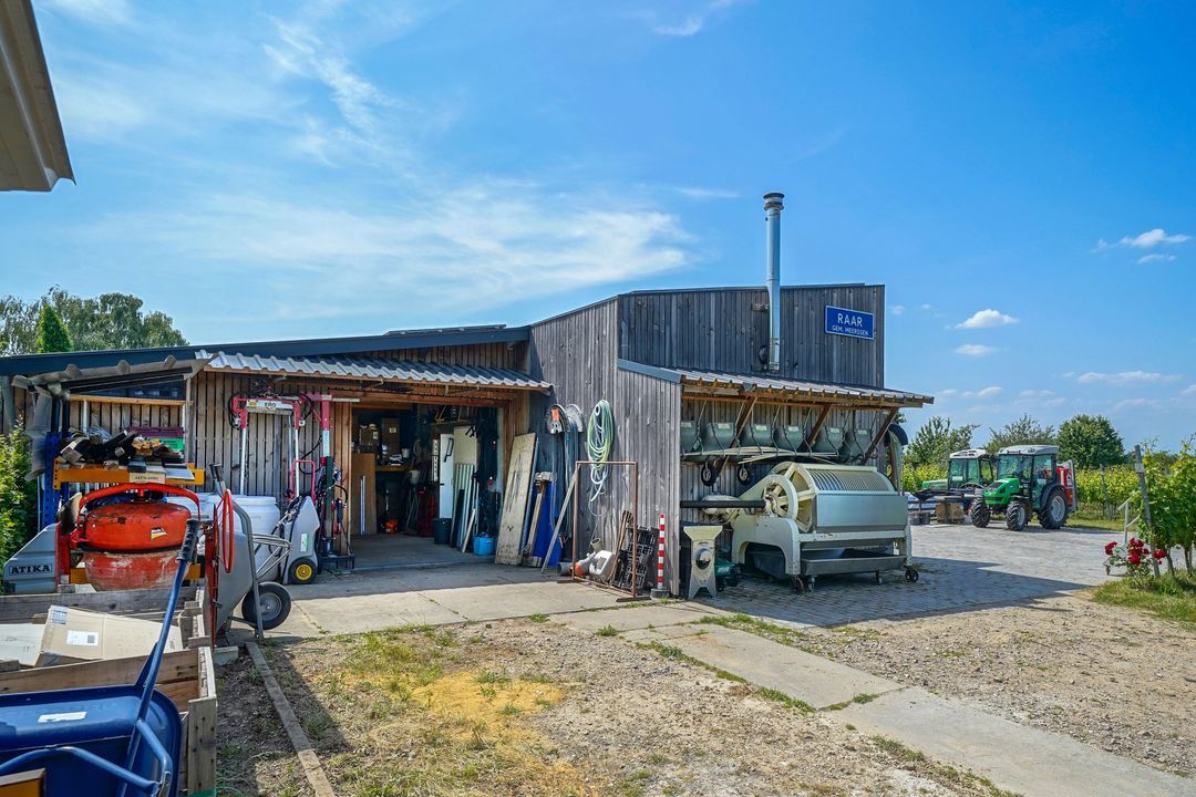 Raar 49 b image thumbs 1