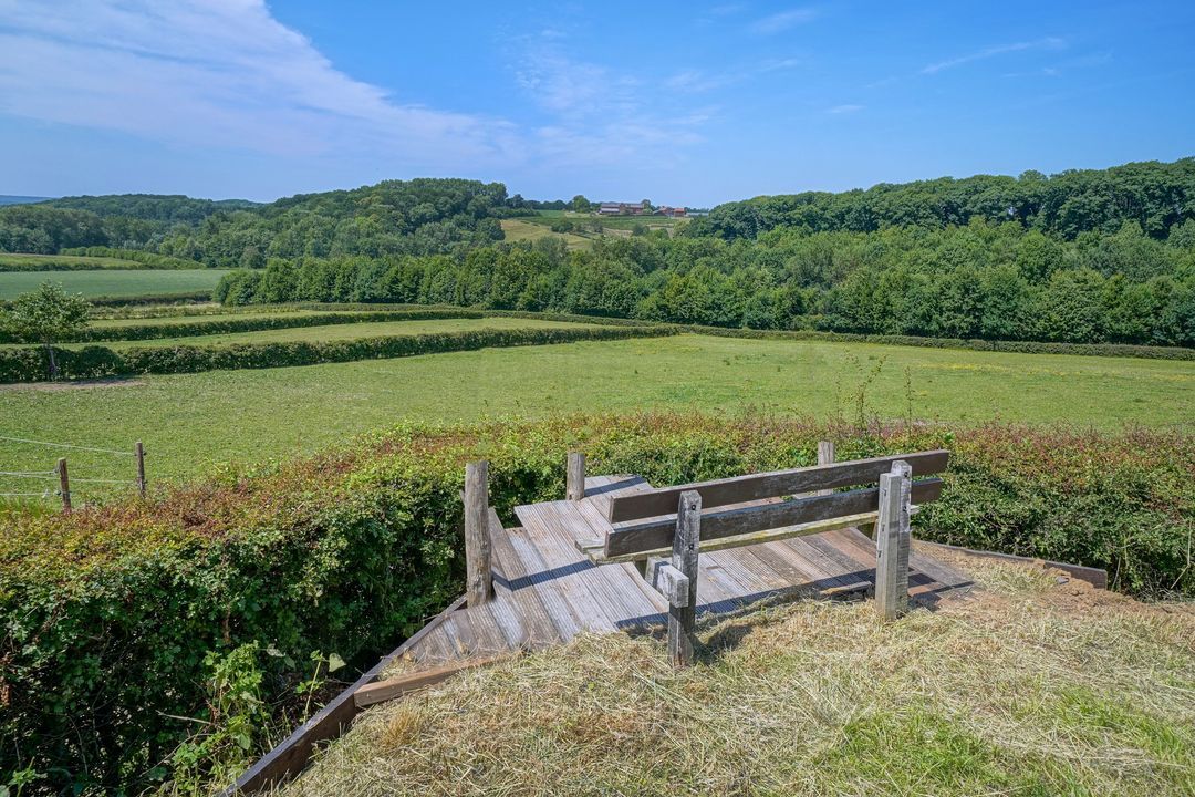 Raar 49 b image thumbs 1