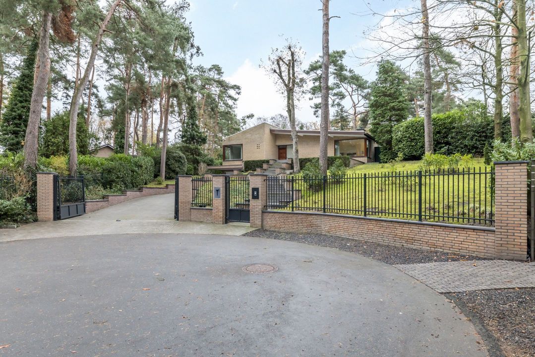 Vlekkenkamp 20 image thumbs 1