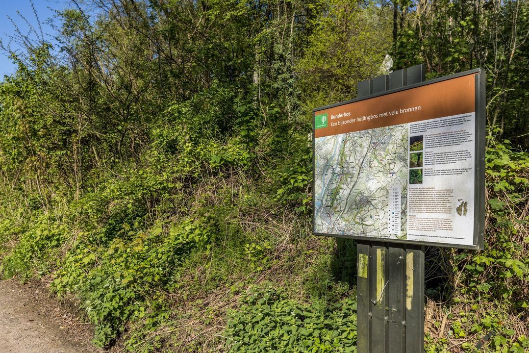 Boschweg 2 c image thumbs 1