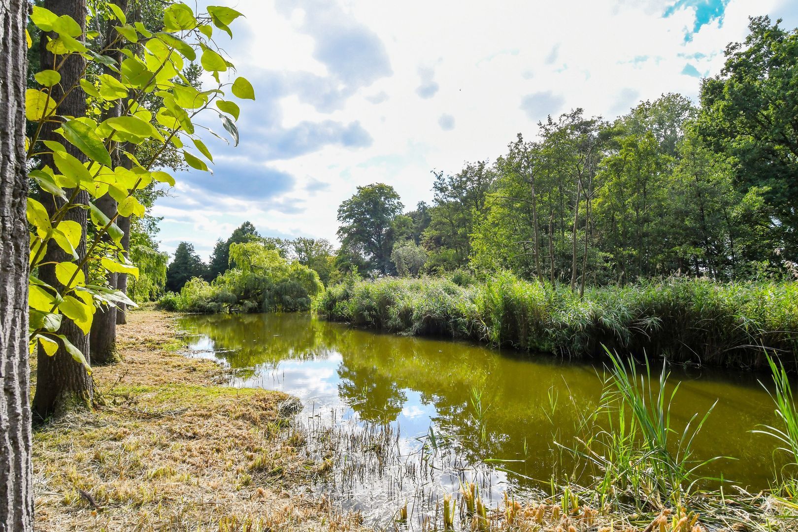 Koelderstraat 21 image 1