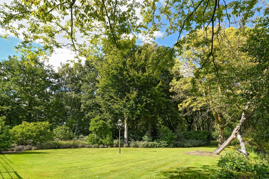 Koelderstraat 21 image thumbs 1