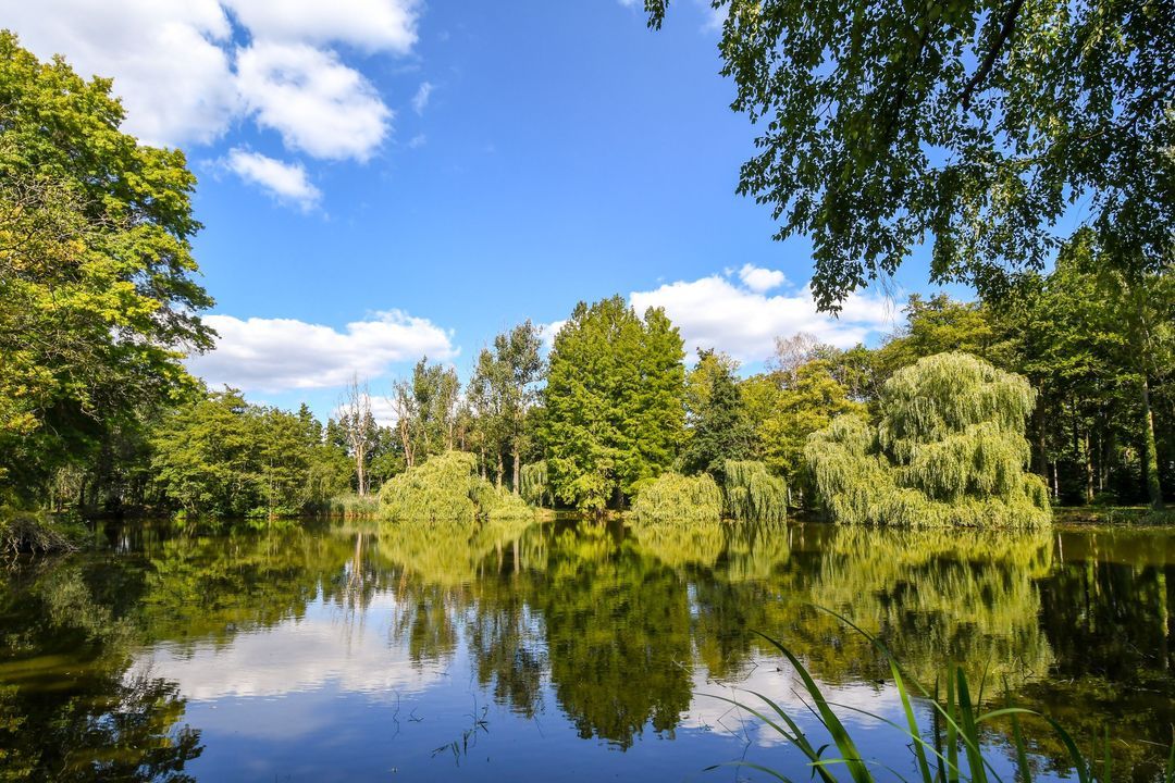 Koelderstraat 21 image thumbs 1