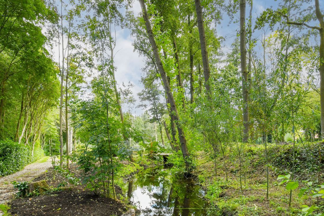 Koelderstraat 21 image thumbs 1