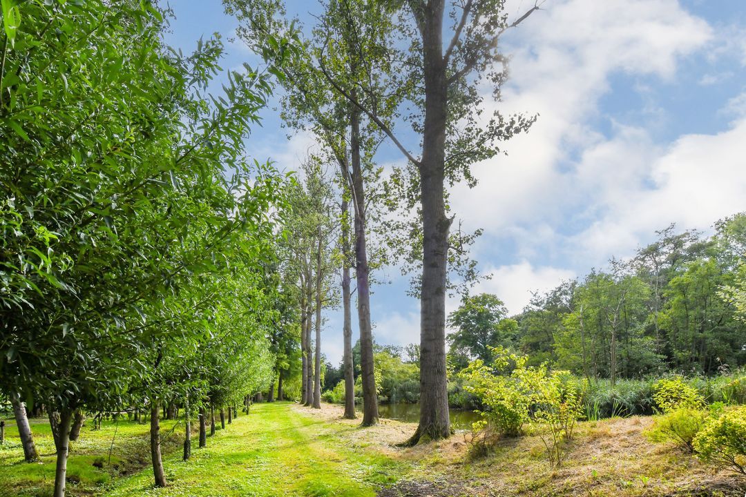 Koelderstraat 21 image thumbs 1