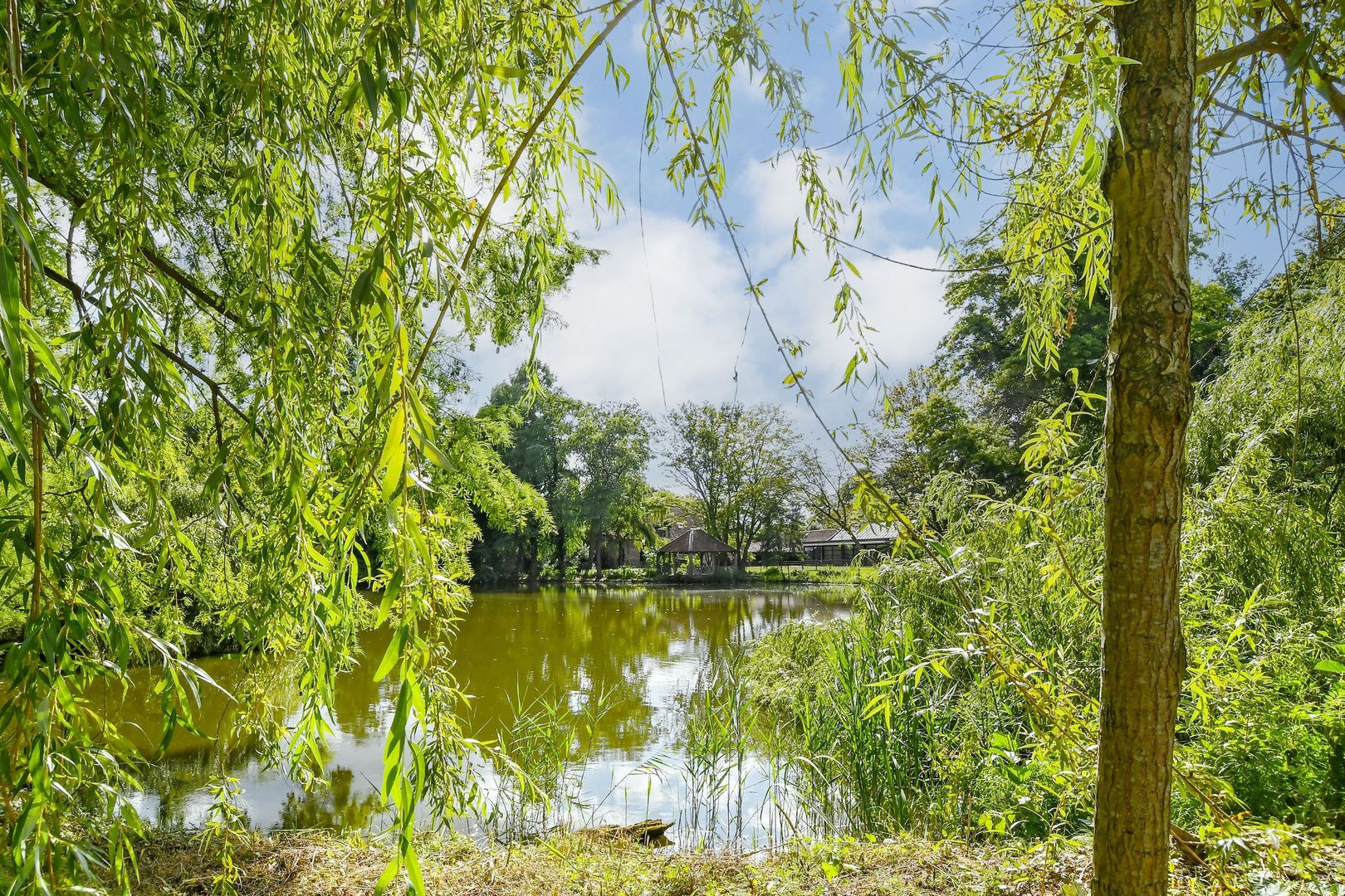 Koelderstraat 21 image 1