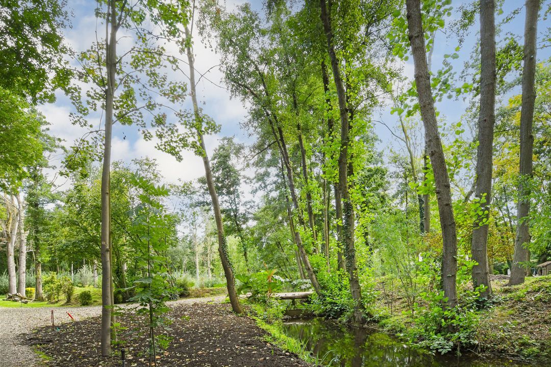 Koelderstraat 21 image thumbs 1