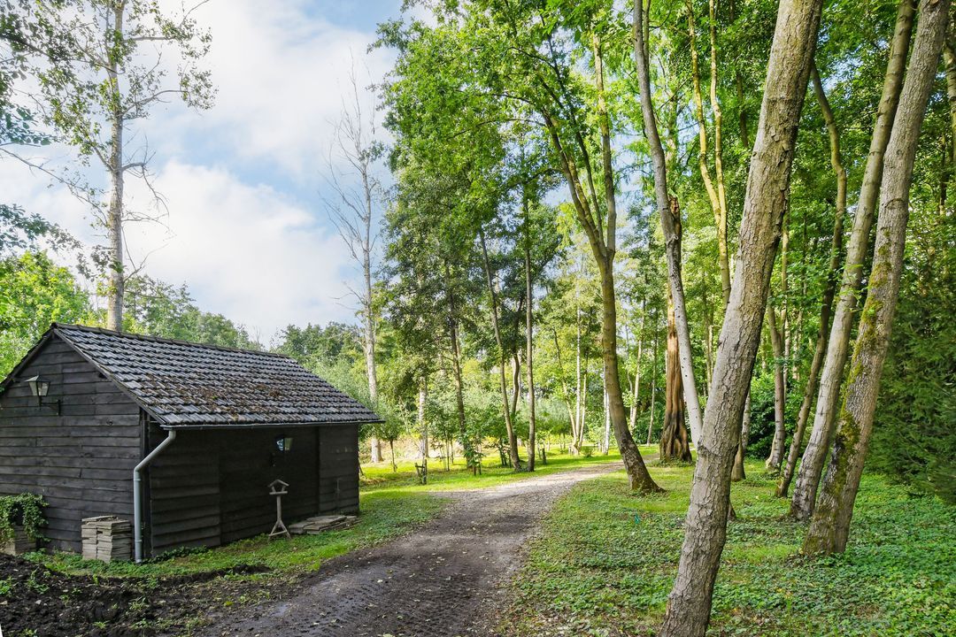 Koelderstraat 21 image thumbs 1