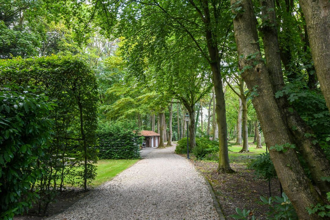 Koelderstraat 21 image thumbs 1