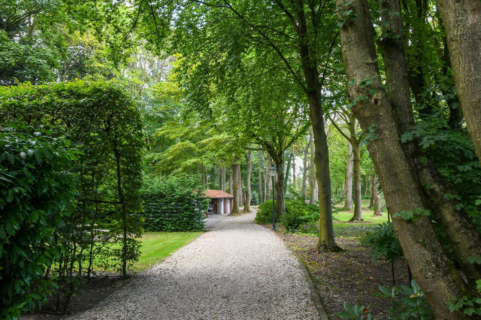 Koelderstraat 21 image 1