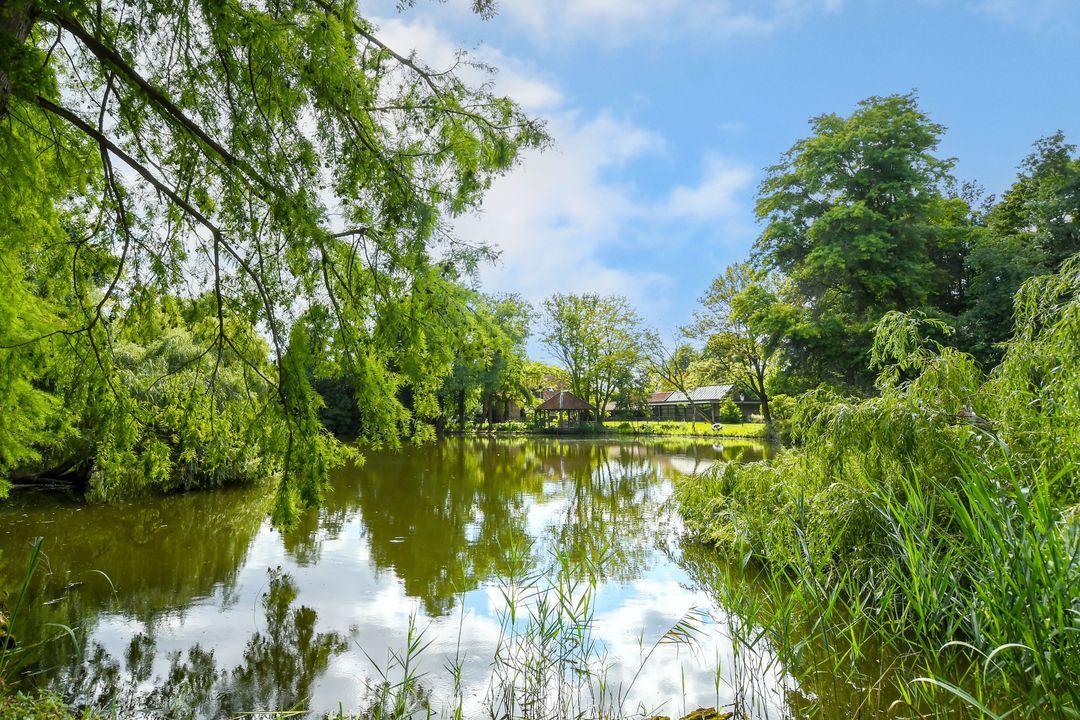 Koelderstraat 21 image thumbs 1