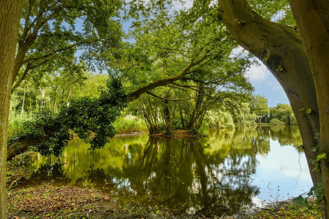 Koelderstraat 21 image thumbs 1