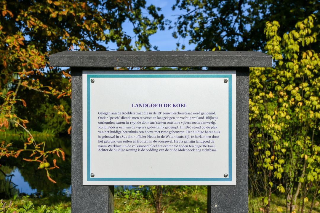 Koelderstraat 21 image thumbs 1