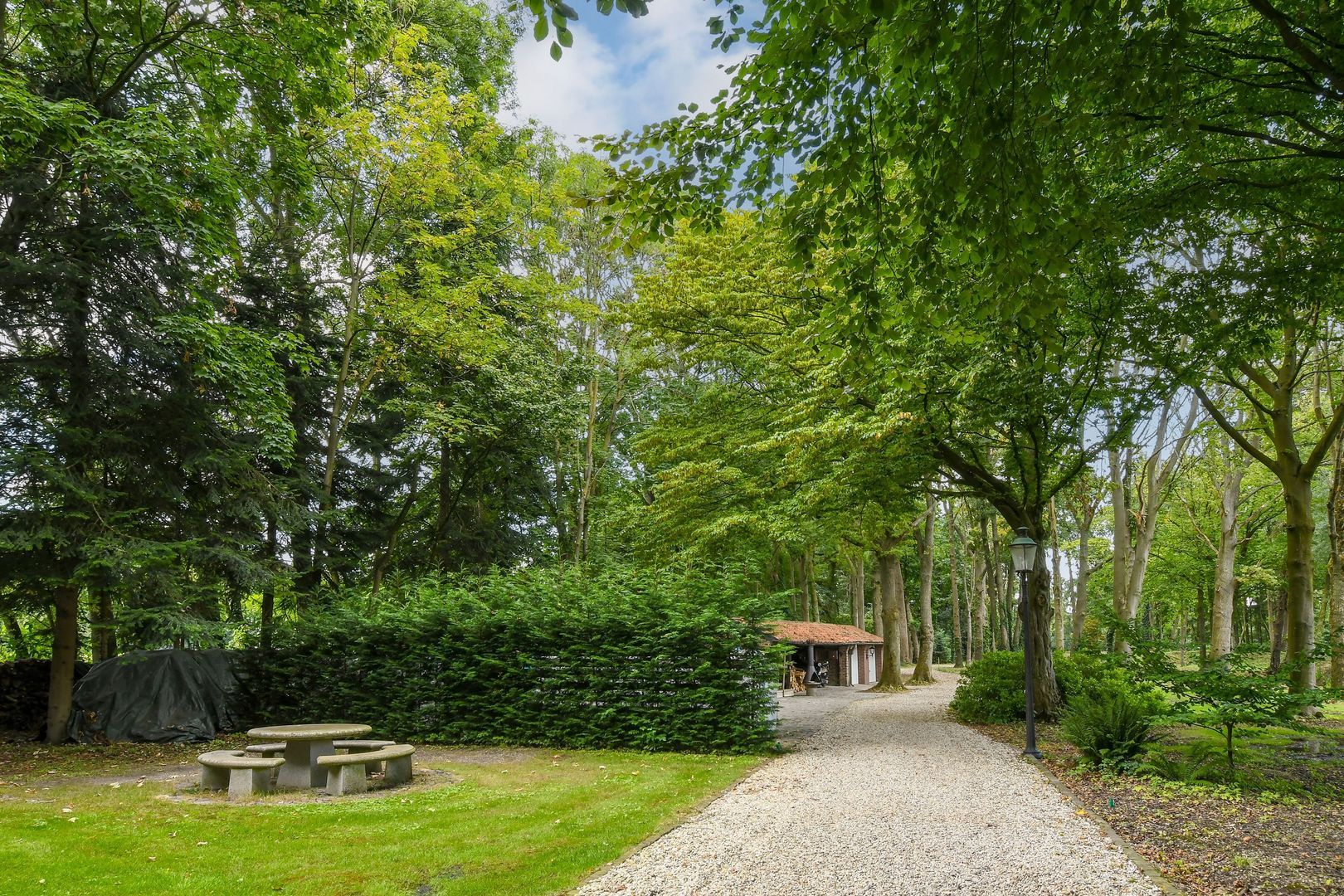 Koelderstraat 21 image 1