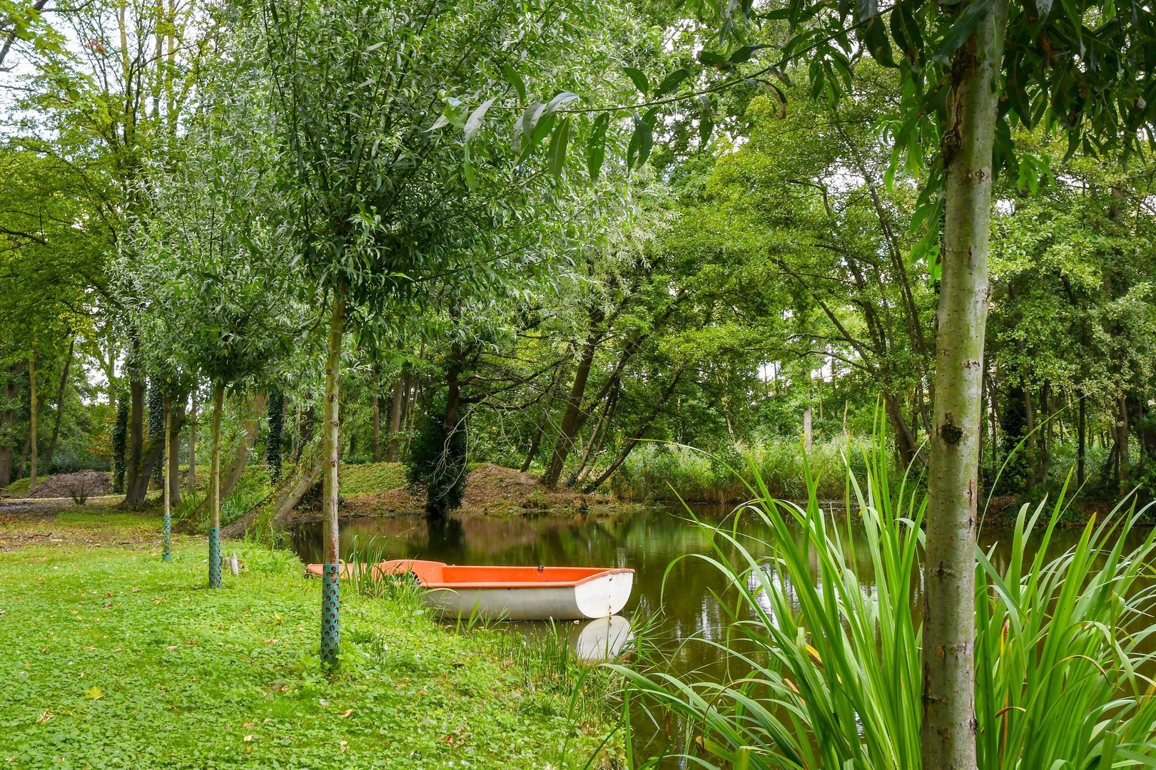 Koelderstraat 21 image 1