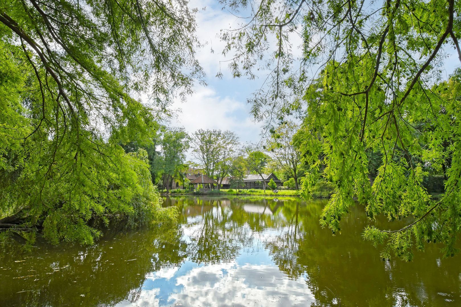 Koelderstraat 21 image 1