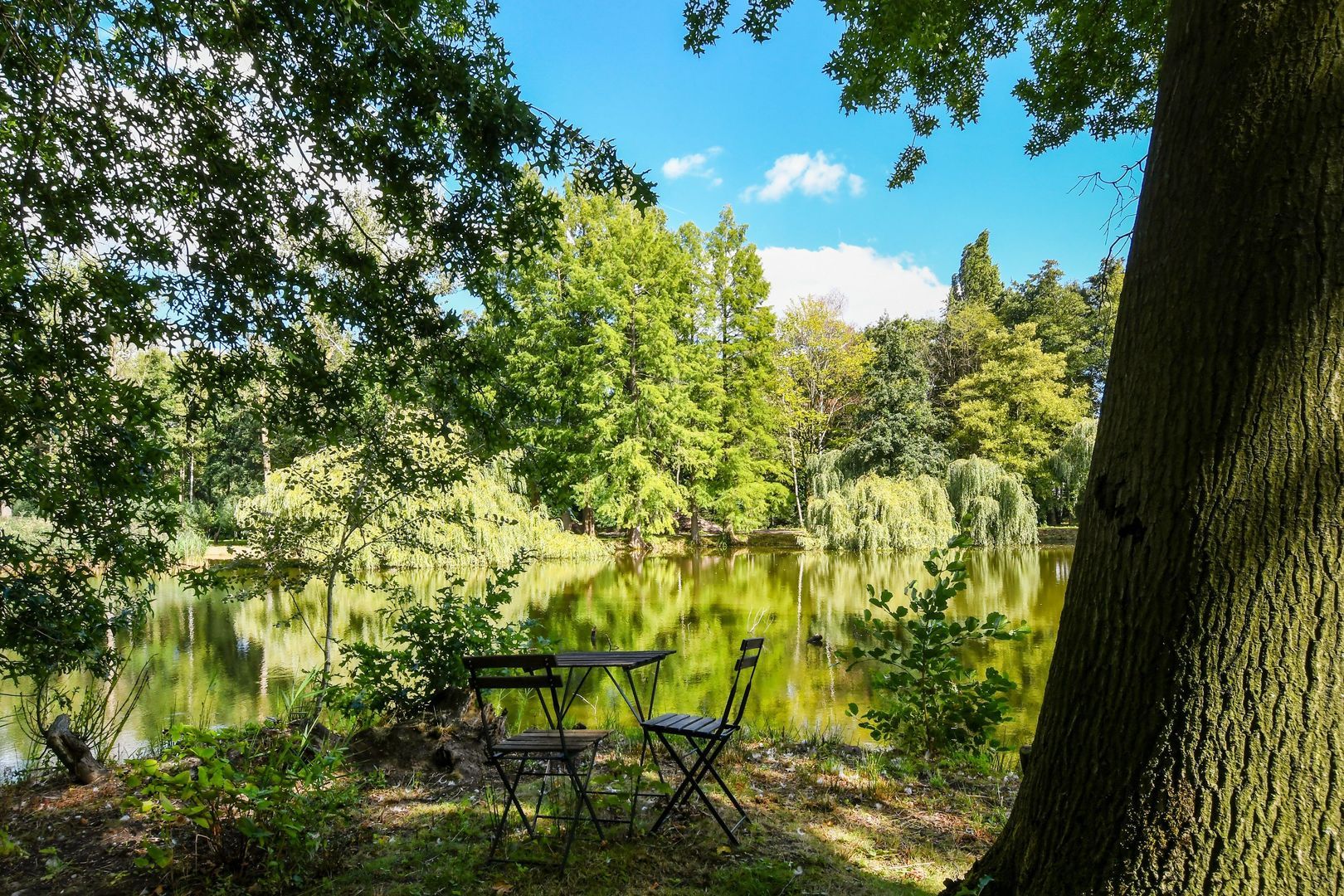 Koelderstraat 21 image 1