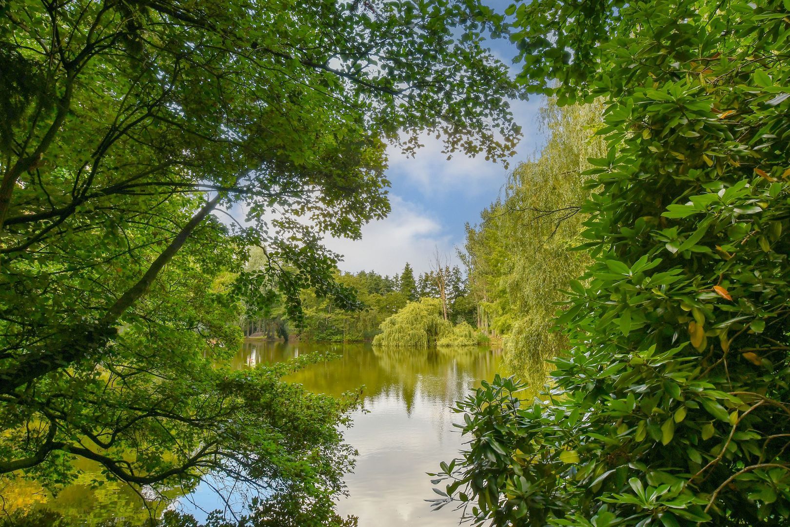 Koelderstraat 21 image 1