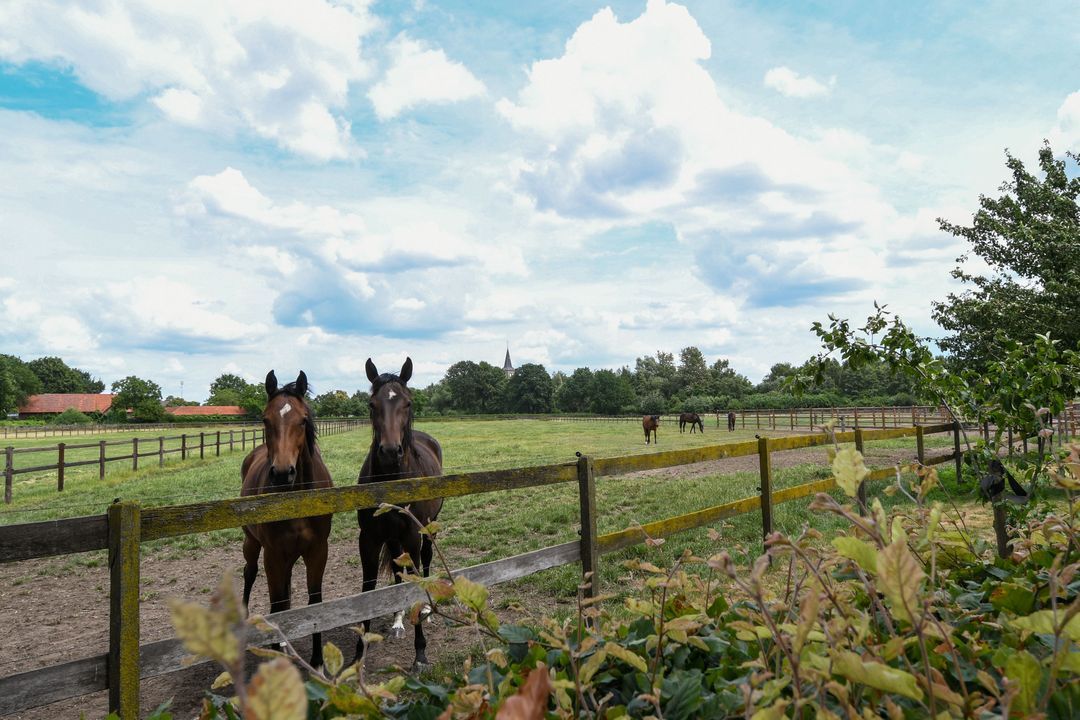 Eikesstraat 43 image thumbs 1