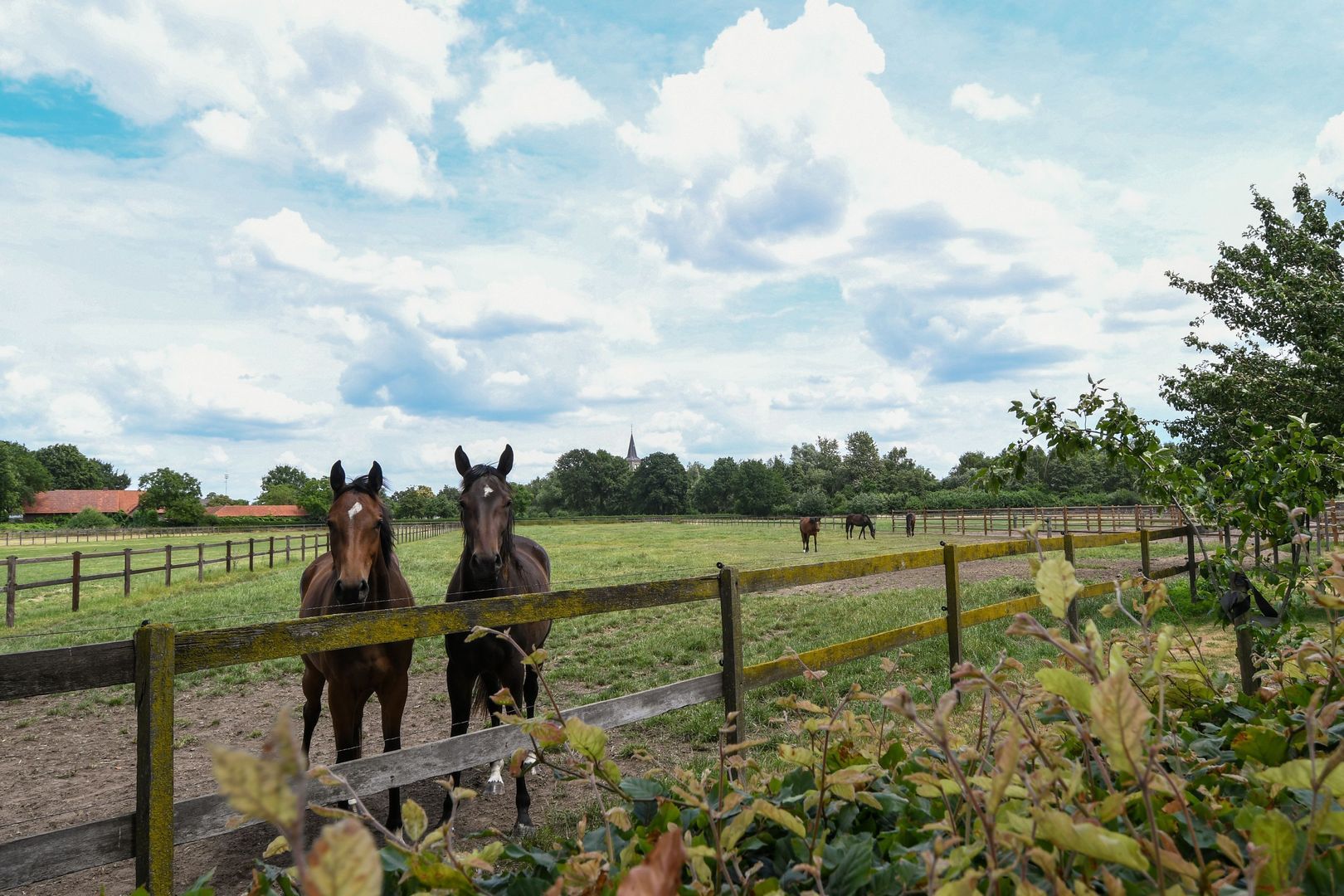 Eikesstraat 43 image 1