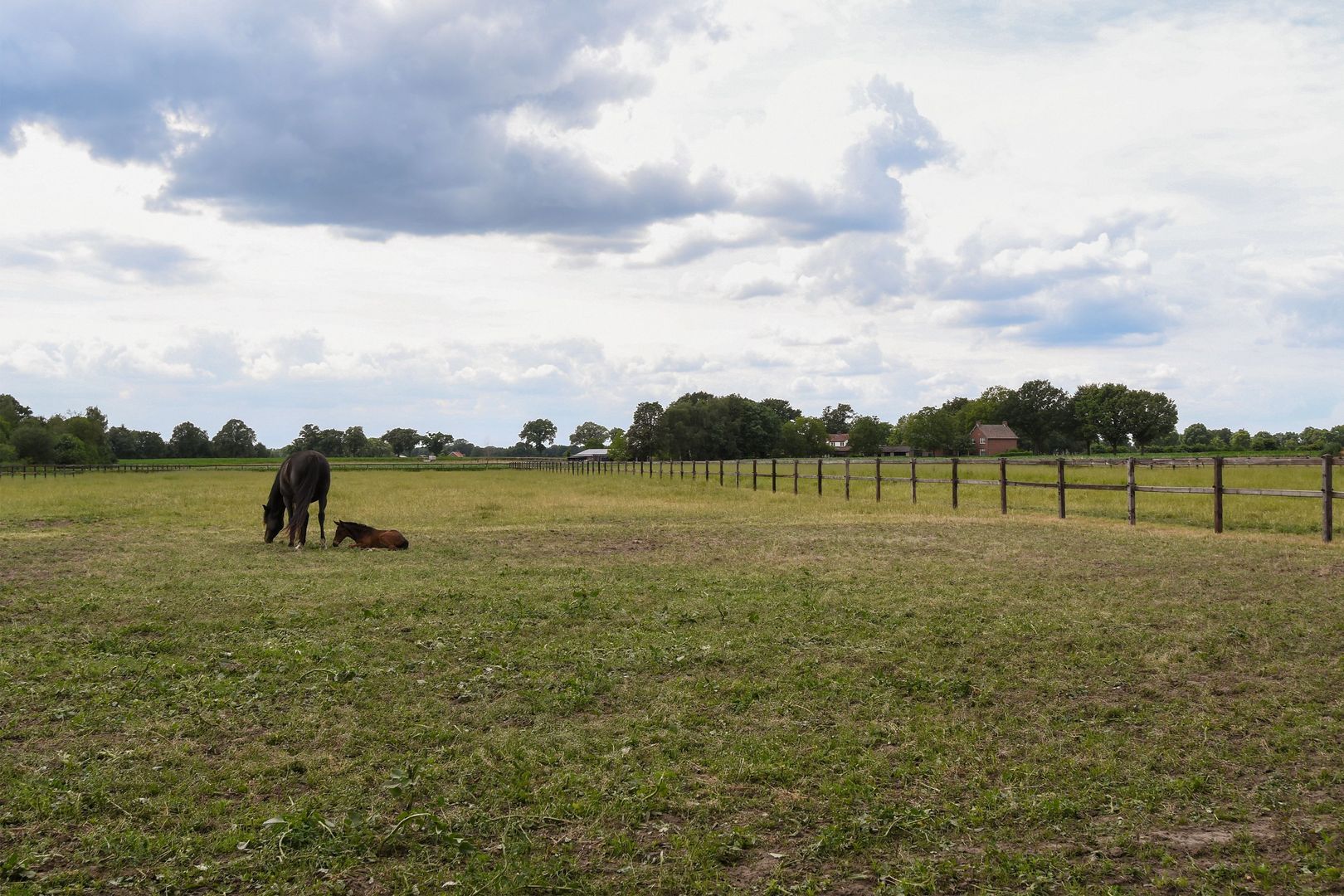 Eikesstraat 43 image 1
