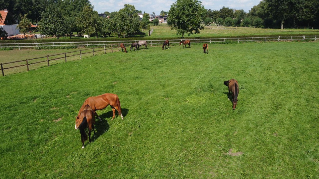 Eikesstraat 43 image thumbs 1