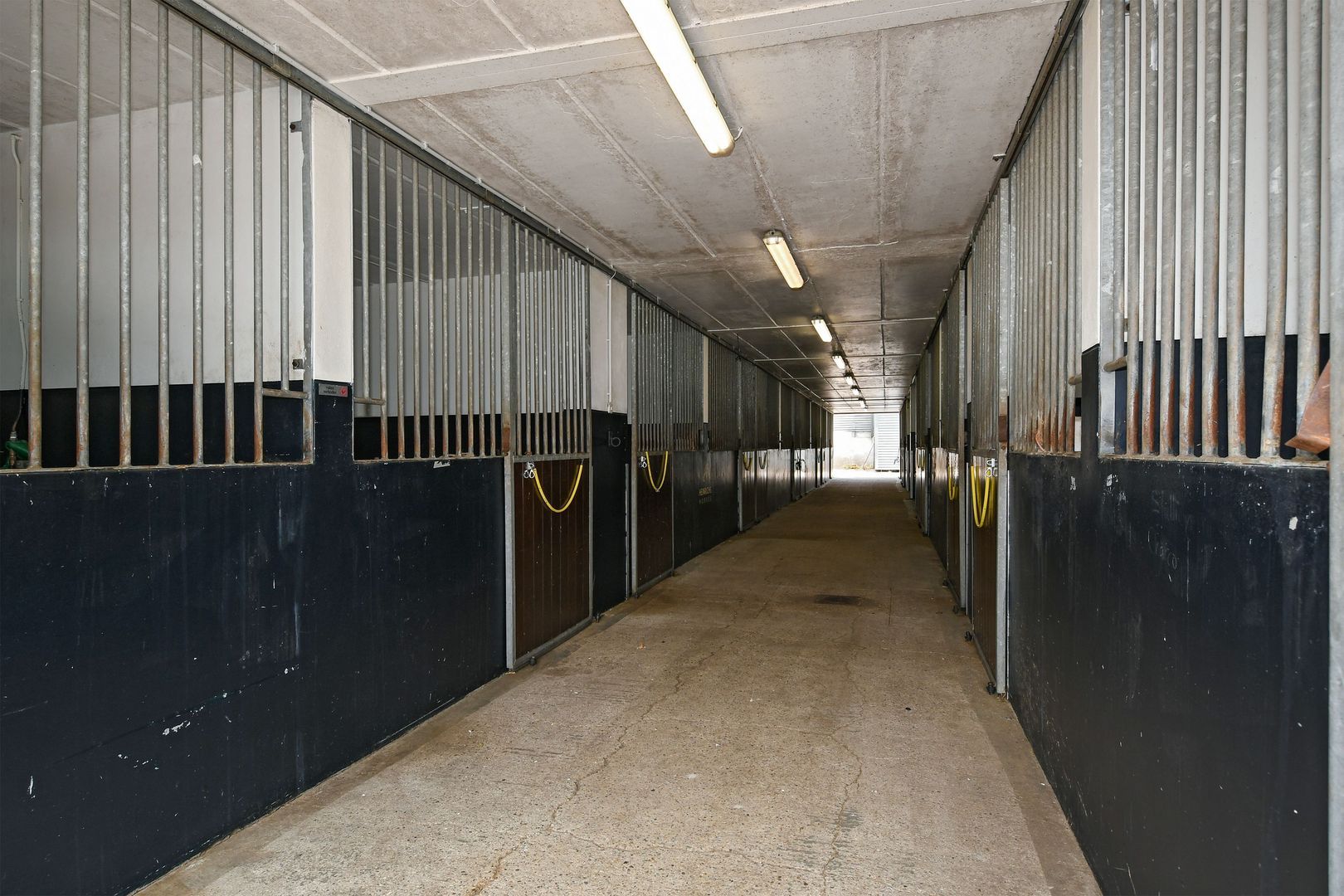 Eikesstraat 43 image 1