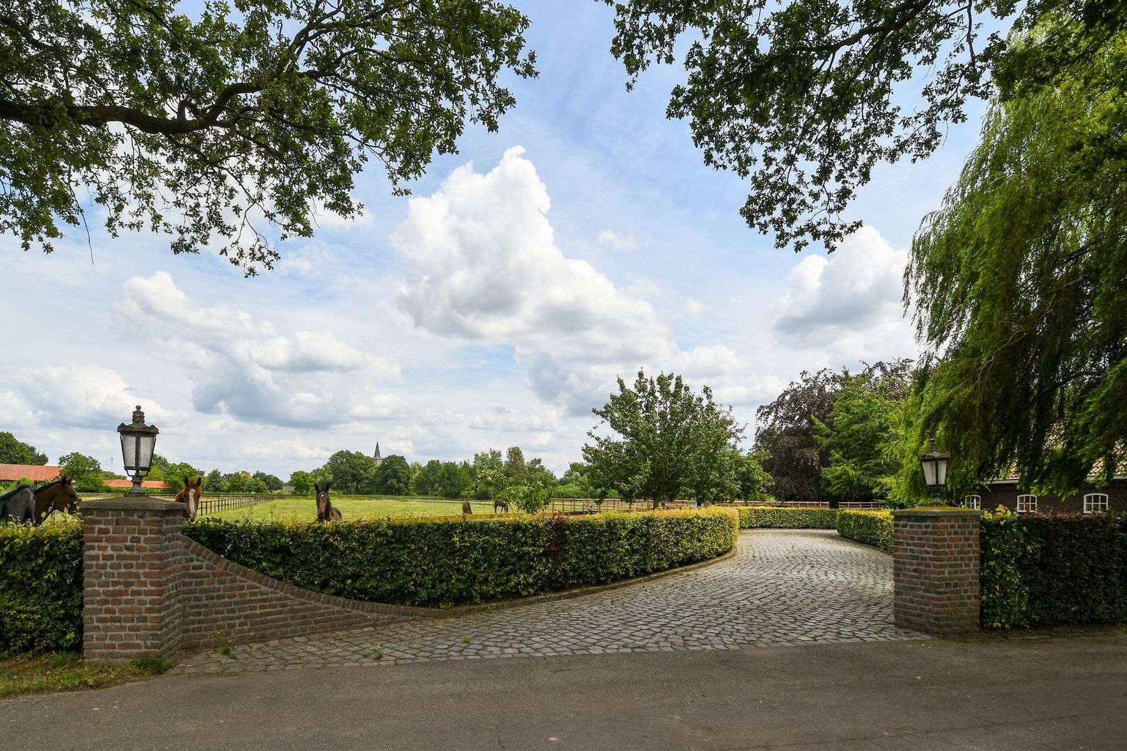 Eikesstraat 43 image 1