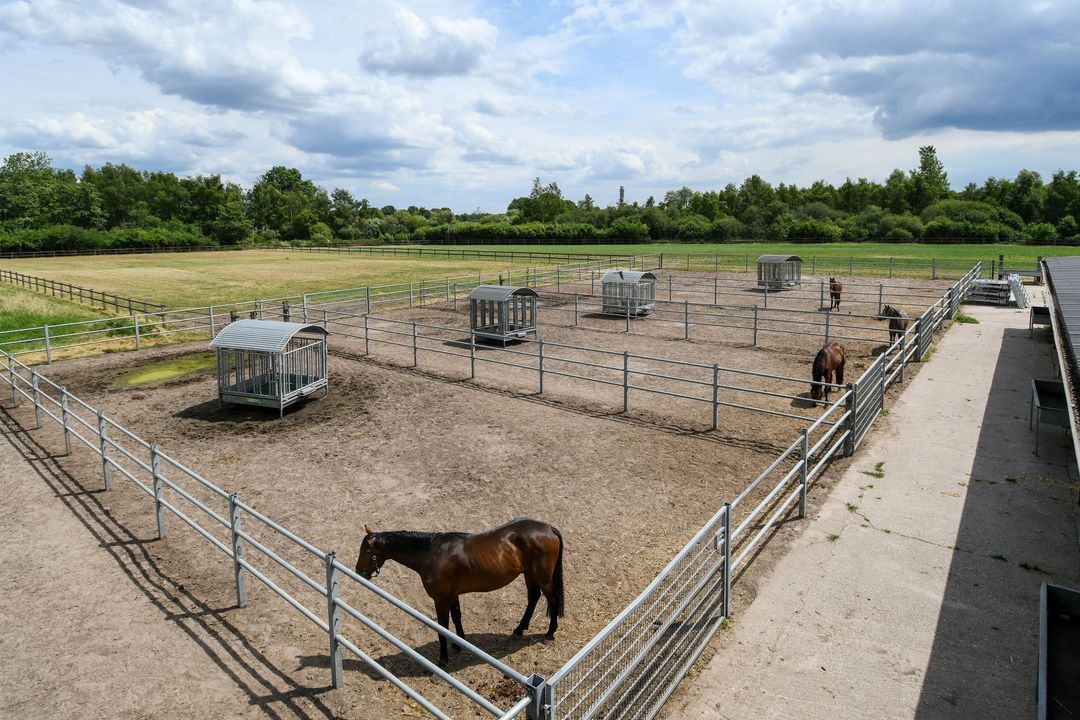 Eikesstraat 43 image thumbs 1