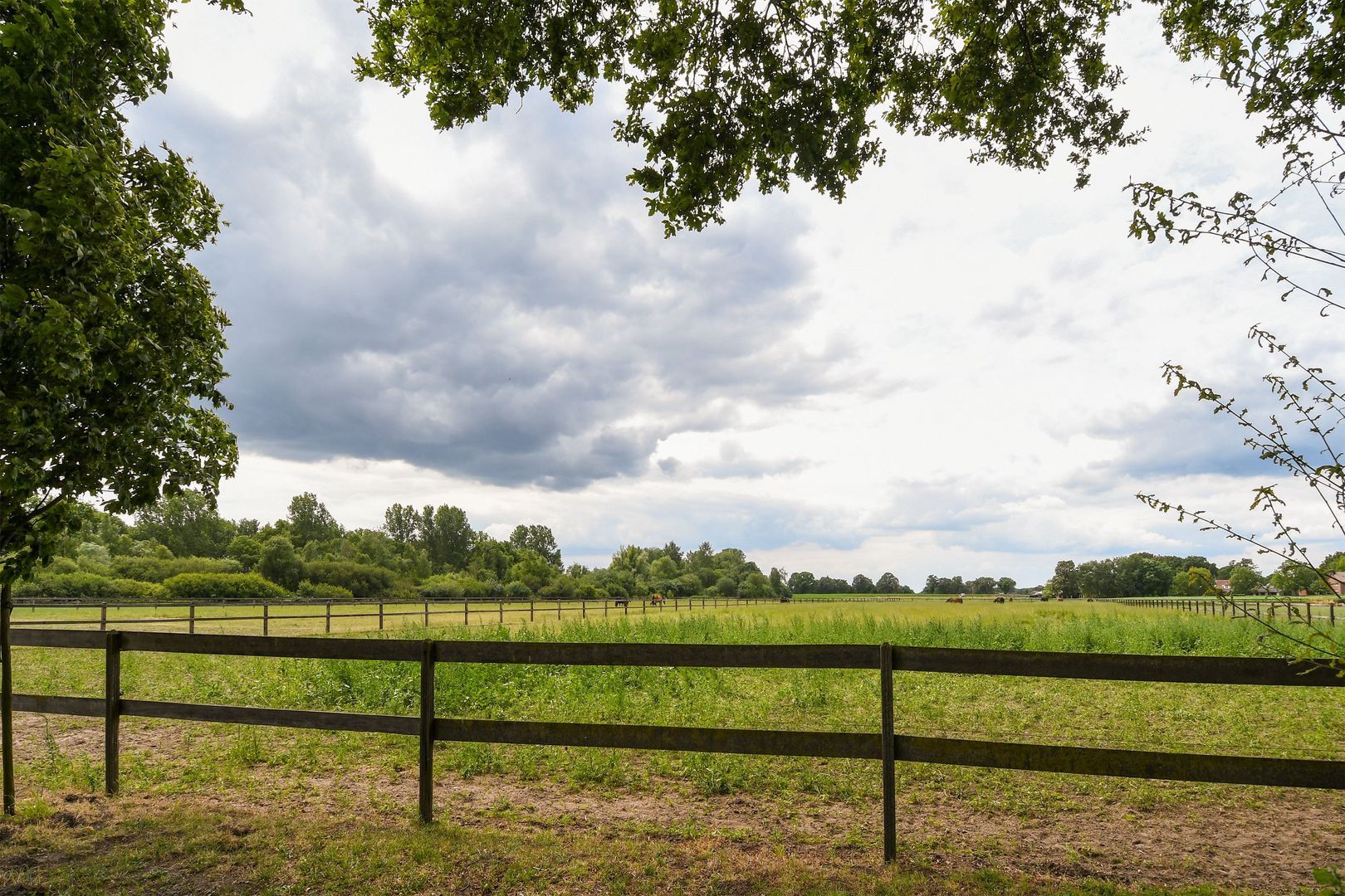 Eikesstraat 43 image 1