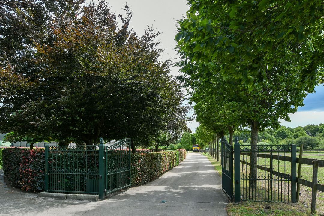 Eikesstraat 43 image thumbs 1