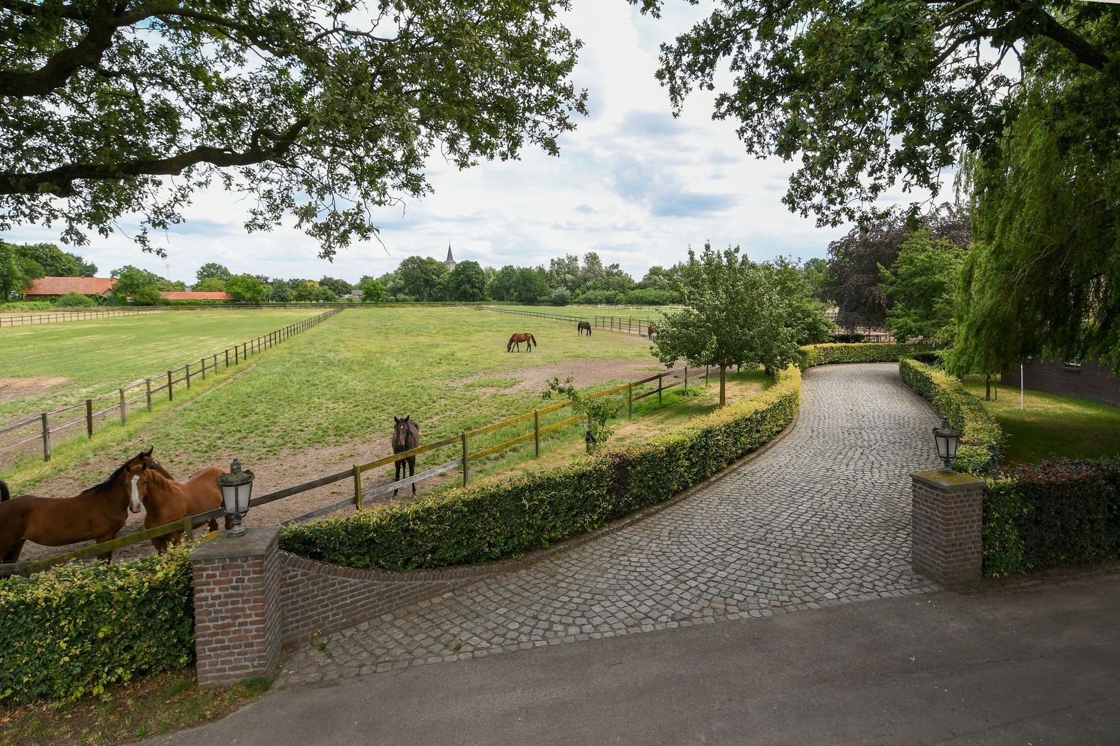 Eikesstraat 43 image 1