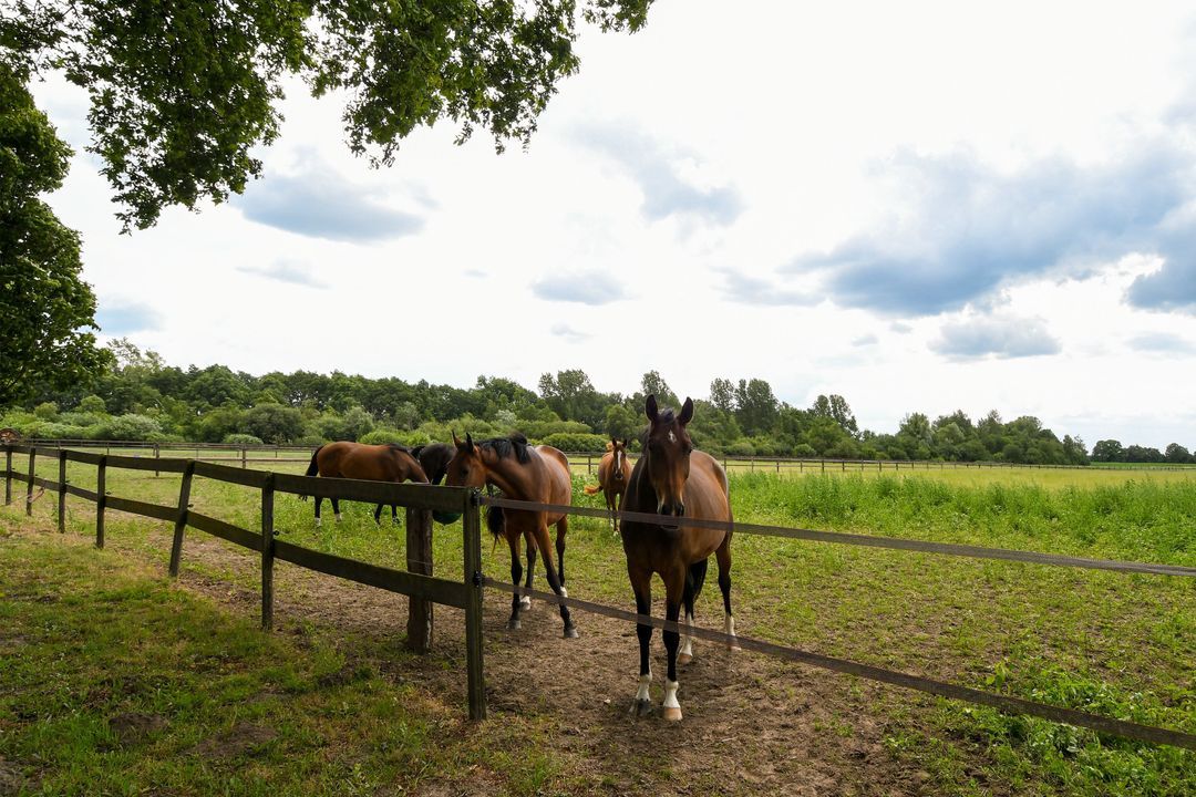 Eikesstraat 43 image thumbs 1