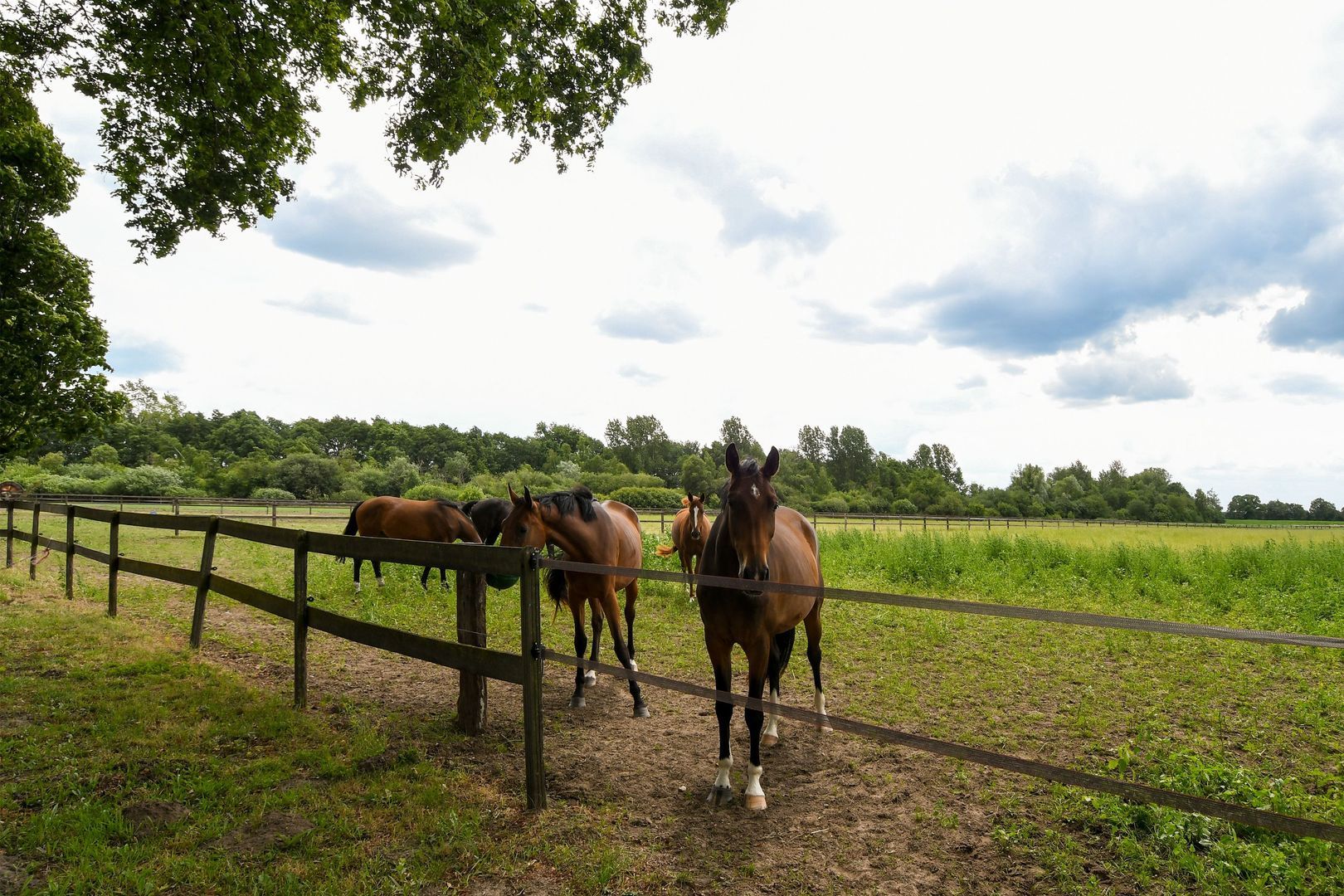 Eikesstraat 43 image 1